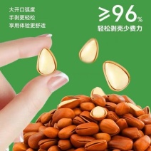 东北红松950颗粒现货充足，大量接代发，欢迎实地考察，