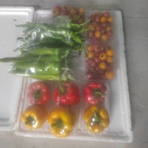 《蔬菜礼盒》精选蔬菜，产地直发，接受企业团购，批发