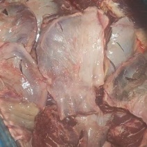 大马脸肉，干净精修，大大大大大大大块块