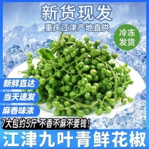 青花椒新鲜350g冷冻保鲜麻椒江津现摘真空青藤椒特产九叶
