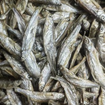 白条鱼淡干，猫鱼干，猫粮，淡干鱼，风干鱼