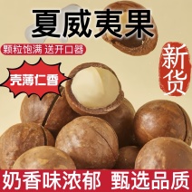 夏威夷果大量现货电商代发新果