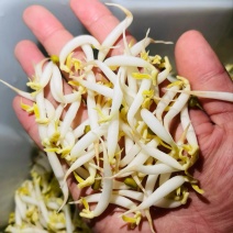 胖豆芽不一样的口感