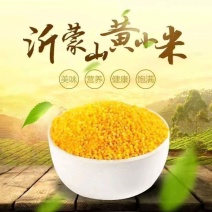沂蒙山新小米营养常温储藏月子黄米