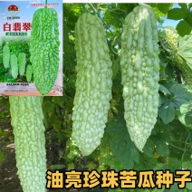 白翡翠苦瓜种子油亮珍珠苦苦瓜种子高产杂交绿白色苦瓜种子
