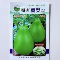 蜀尖香梨圆瓠瓜种子早熟耐热耐寒葫芦瓜西葫芦瓜种籽基地专用