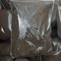苦草种子虾蟹专用水草多年生扁担草种子鸭舌草水韭菜改良水质