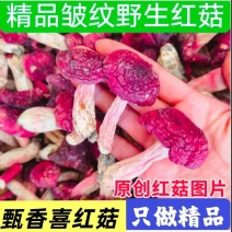 【优质量】新货野生红菇包邮红蘑菇月子香甜红椎菌