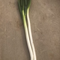 大葱