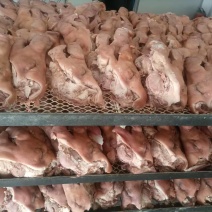 半成品猪头肉