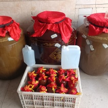 金阳县传统天锅酒质量保证诚信经营欢迎咨询
