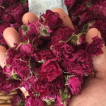 平阴玫瑰花蕾花冠