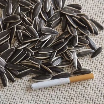 优质葵花籽自产自销品质好价格合理，可视频看货大批量走货