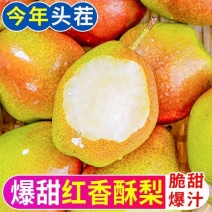 红香酥梨大量上市，全国发货，欢迎进店沟通。