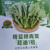 板蓝根青菜