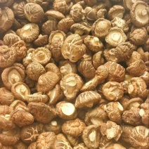 精品干香菇/香菇脚量大从优/一手货源/诚信经营