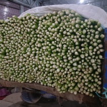 西芹