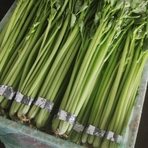 香芹