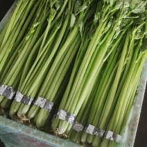 香芹