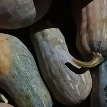 南爪