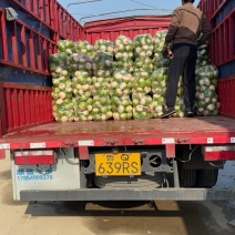 好货不打烊