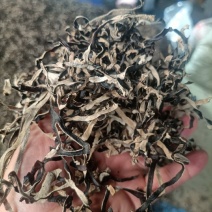 大量木耳丝现货供应，电商专用头茬二茬木耳丝去根剪根，木耳