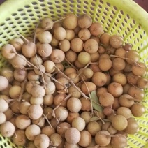 龙眼