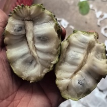 释迦果