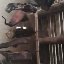 农家腊肉