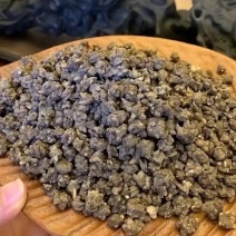 猫抓草