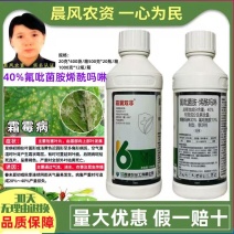 浙农霜翼双非40%氟吡菌胺烯酰吗啉黄瓜霜霉病专用农药杀菌