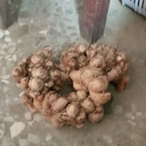 卖沙姜