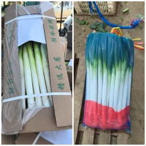 福建大葱，货源充足，平台电商，精品市场。欢迎老板前来洽谈
