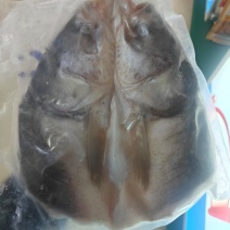 白鲢鱼头鲢鱼块(辣/不辣)