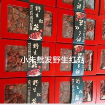 【红菇礼盒】野生红菇，特级红菇月子红菇干货