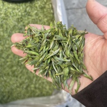 2026年新茶黄芽毛峰
