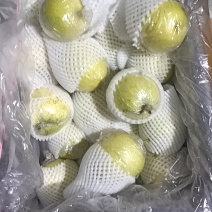 青皮皇冠梨