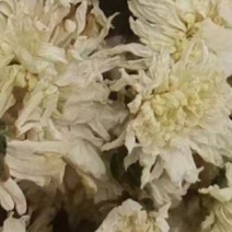 七月菊