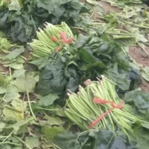 蔬菜，菠菜