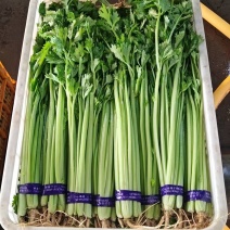小香芹