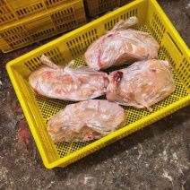 三光鸭子