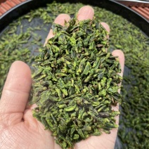 小叶苦丁茶