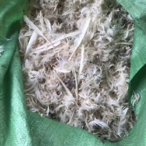 白鸭毛