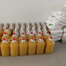 花生油纯压榨品质优基地直供可视频看货欢迎咨询来电