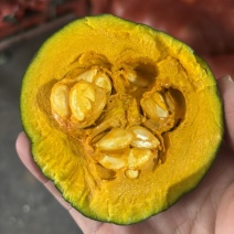寿光贝贝南瓜