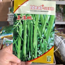 理想荚满地豆角种子鲜嫩无筋早熟高产农家春秋播种蔬菜种籽易