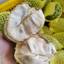 大目释迦果，甜度高，