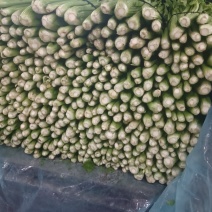 西芹