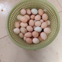 土鸡蛋