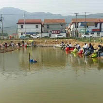 鱼塘转让